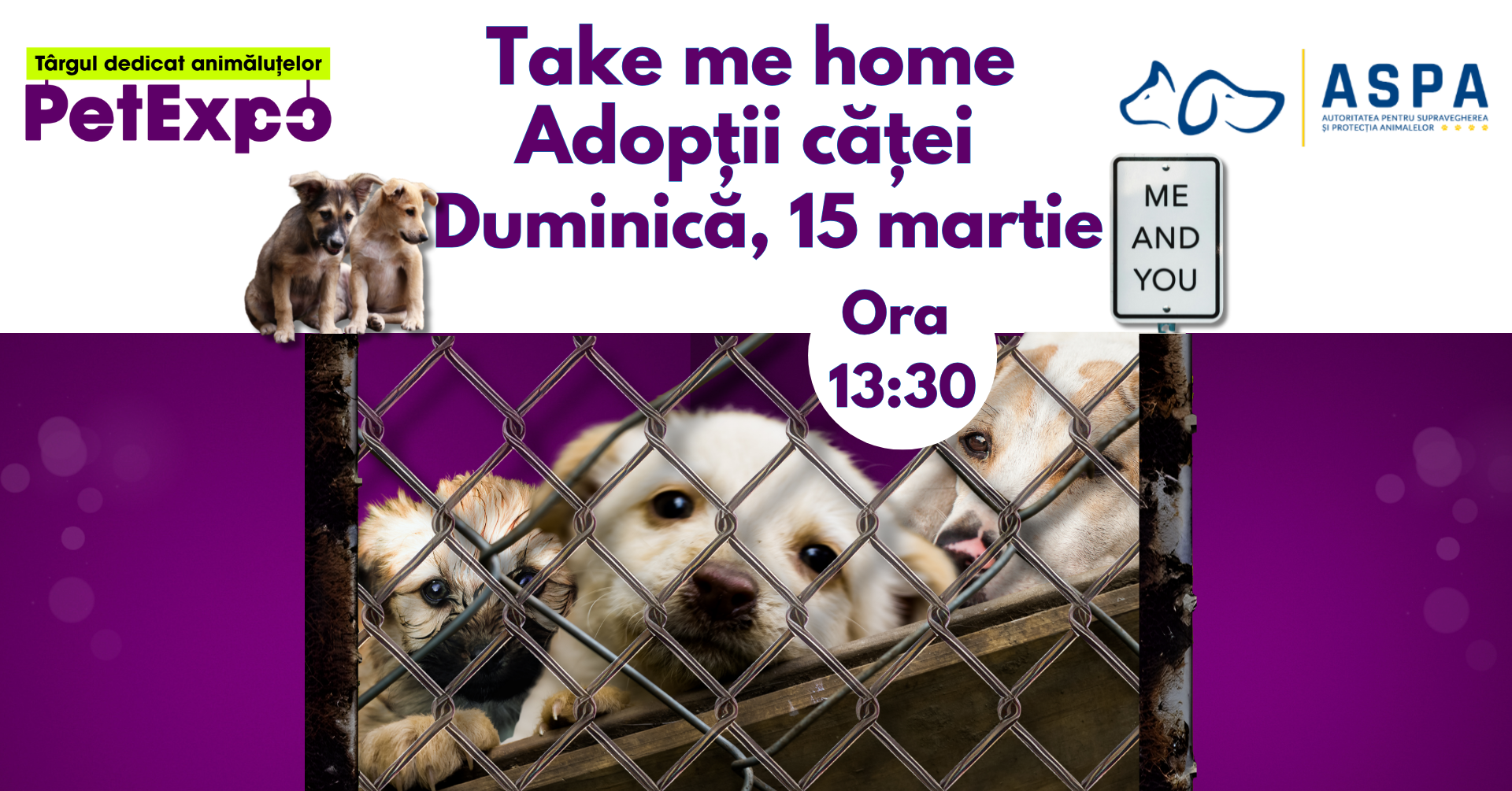 adoptii-aspa adoptii-aspa