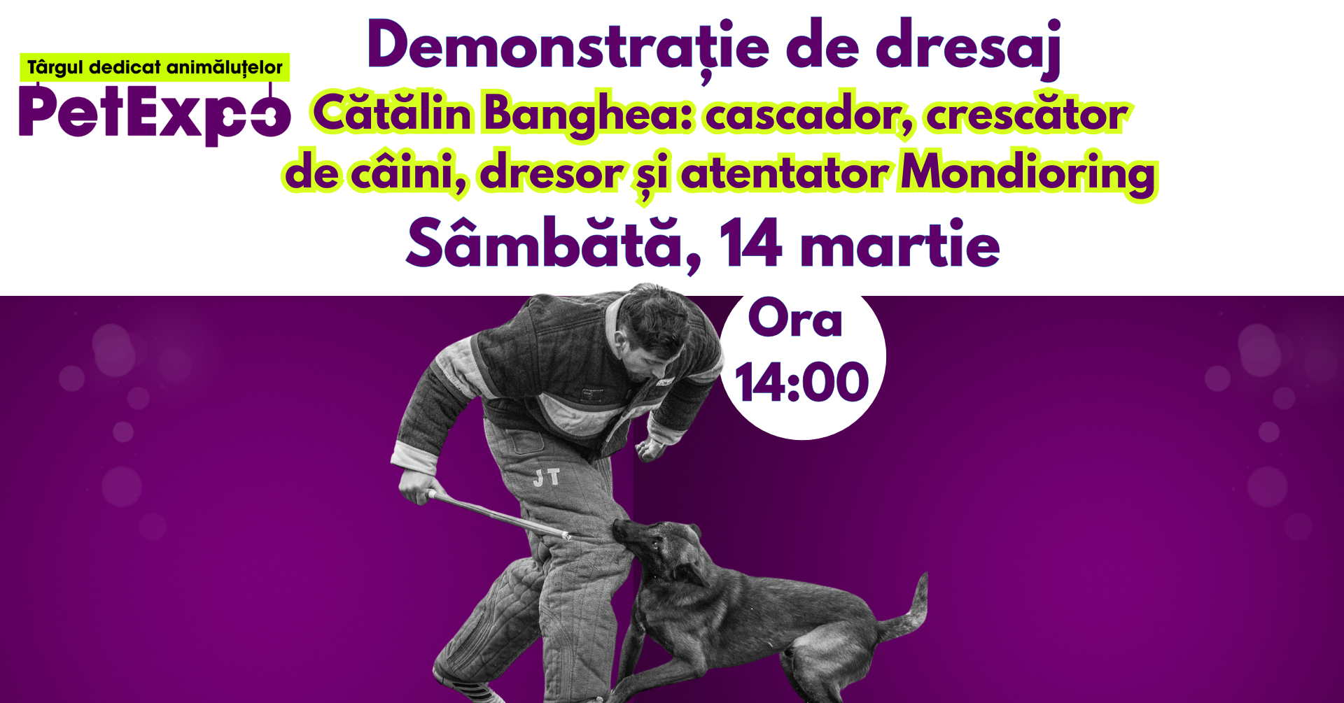 demo-dresaj-catalin-banghea demo-dresaj-catalin-banghea