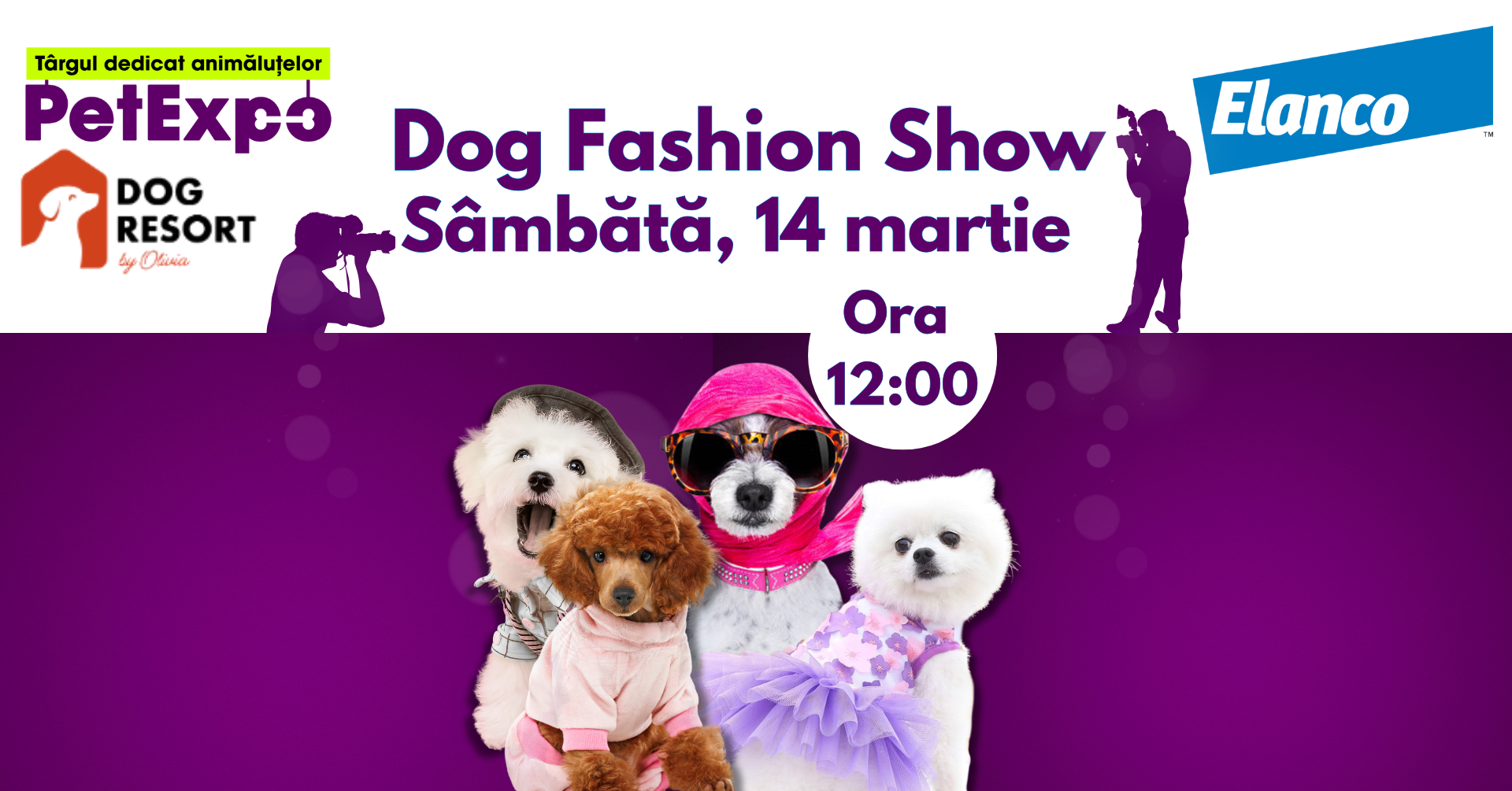 dog-fashion-show-petexpo-elanco dog-fashion-show-petexpo-elanco