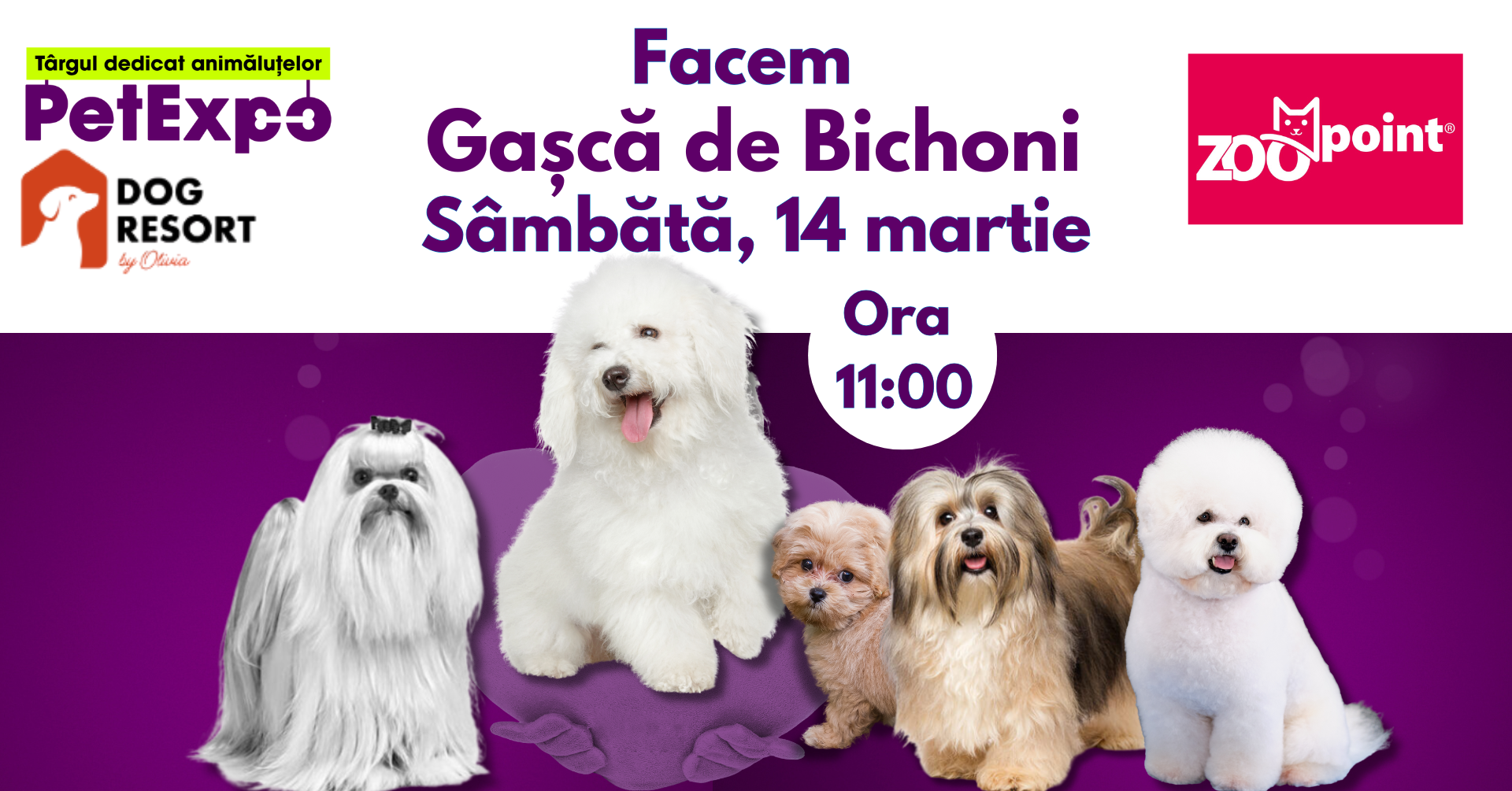 gasca-de-bichoni-petexpo gasca-de-bichoni-petexpo