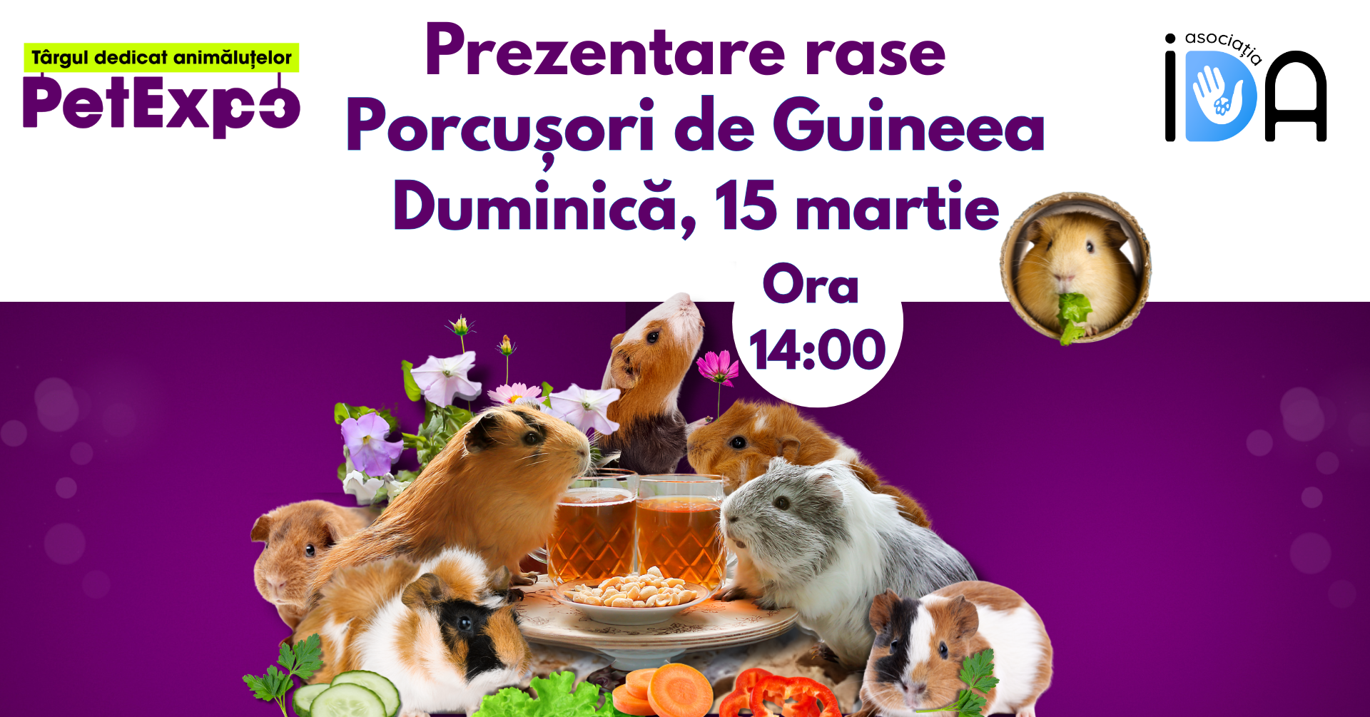 porcusori-de-guineea-petexpo-2026 porcusori-de-guineea-petexpo-2026